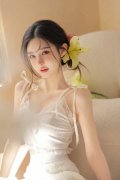 总理正在惠灵顿总督府同总理拉克森举行漫谈